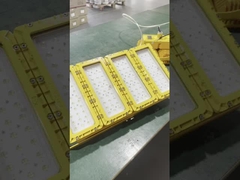 WF2 IP66 Αδιάβροχο Κονβές Γυάλινο Σκιώδες Εκρηκτικό Φως LED