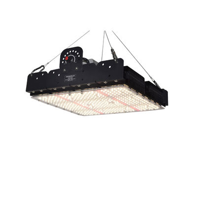 Πλήρες φάσμα T5 LED Grow Light για εσωτερικά φυτά 250w