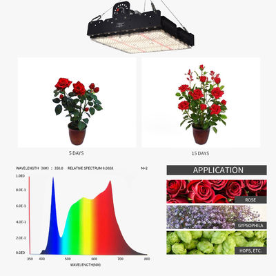 Πλήρες φάσμα T5 LED Grow Light για εσωτερικά φυτά 250w