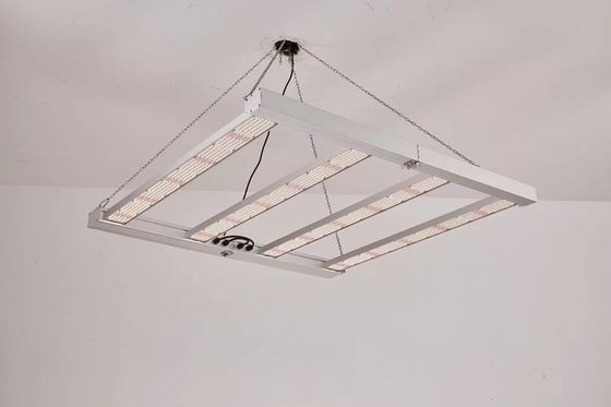 Αναδιπλούμενο φως ανάπτυξης LED 600W Full Spectrum για εμπορική καλλιέργεια φυτών