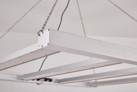 800W πλήρες φάσμα LED Grow Light με IP65 αδιάβροχο για την εμπορική ανάπτυξη φυτών
