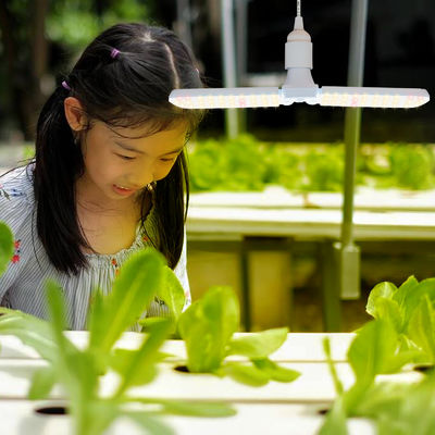 Συμπαγές φως ανάπτυξης LED με πλήρες φάσμα + 660nm και αδιάβροχο IP68 για ανάπτυξη φυτών σε εσωτερικούς χώρους