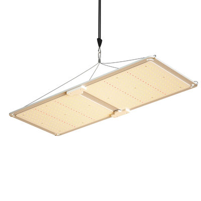 ποιότητας  200w LED T5 Grow Lights Greenhouse Lighting System εργοστάσιο