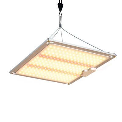 600w HPS 4x4 Grow Light Φυτικό Φως Προώθηση ανθοφορίας και καρποφορίας