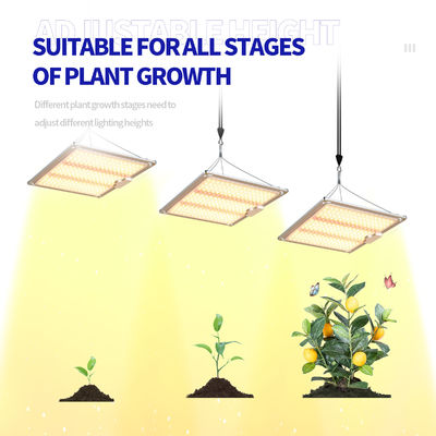 600w HPS 4x4 Grow Light Φυτικό Φως Προώθηση ανθοφορίας και καρποφορίας