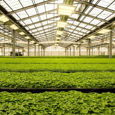 600w HPS 4x4 Grow Light Φυτικό Φως Προώθηση ανθοφορίας και καρποφορίας