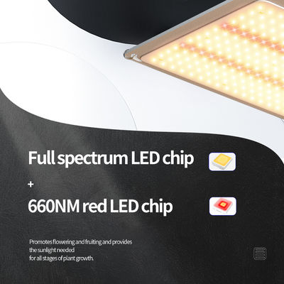200w LED T5 Grow Lights Σχέδιο φωτισμού θερμοκηπίου