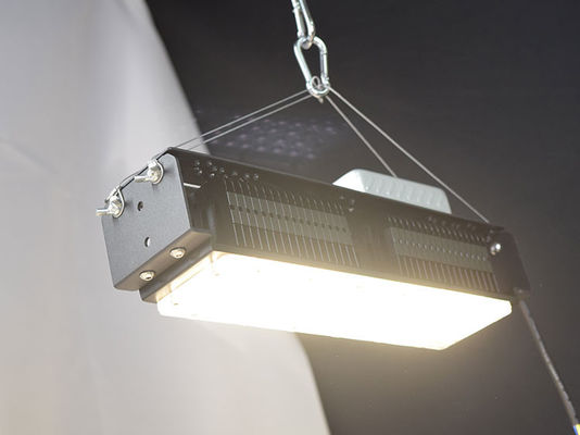 AC85V-265V εσωτερικά φώτα LED για φυτά 50W