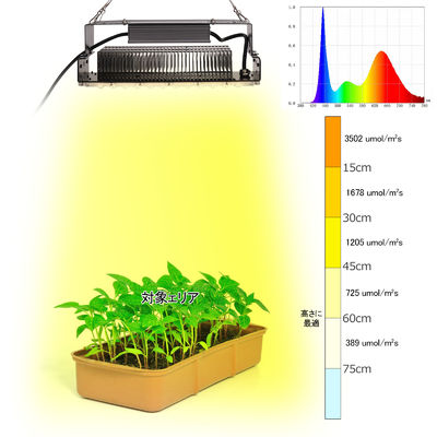 100w εσωτερικό 5x5 Grow Light για εσωτερικά φυτά κήπου Succulents SMD3030