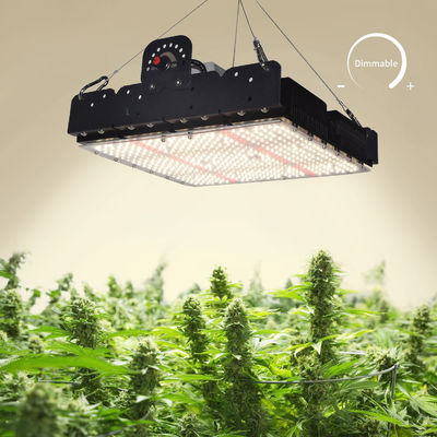 Πλήρες φάσμα T5 LED Grow Light για εσωτερικά φυτά 250w