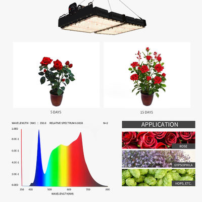 PPFD ανάγνωση Led Grow Light Lamps για εσωτερικά φυτά NR Spectrum