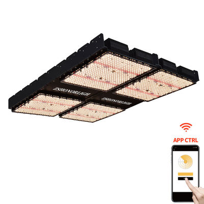 1000W εσωτερικά φώτα φυτών 4x4 Grow Light