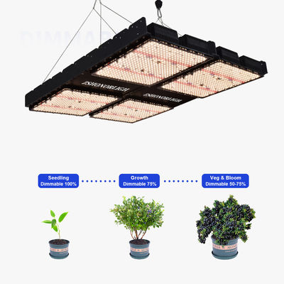 1000W εσωτερικά φώτα φυτών 4x4 Grow Light