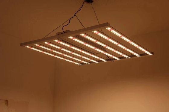 Τυλιζόμενα φώτα θερμοκηπίου 8T 800W 1000w Hps